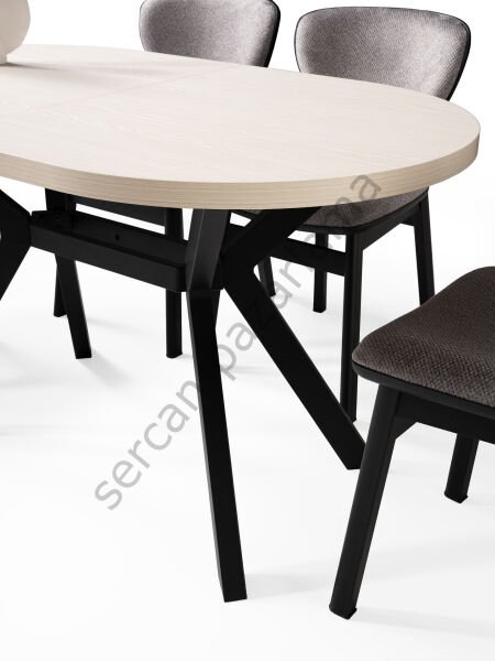 1219-2295 - Haliç Masa Sandalye Takımı - Monet/Siyah